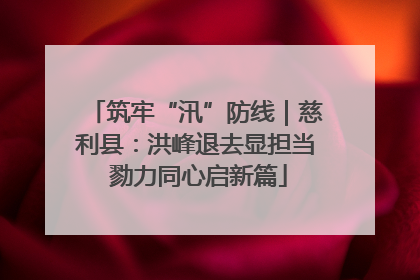 筑牢“汛”防线｜慈利县：洪峰退去显担当 勠力同心启新篇