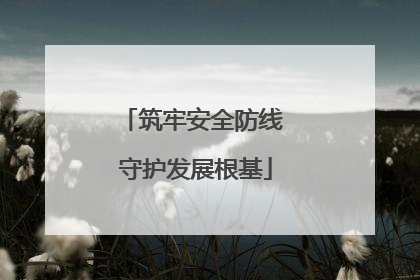 筑牢安全防线 守护发展根基