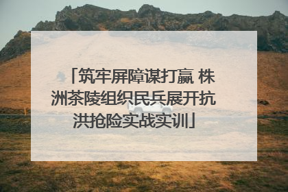 筑牢屏障谋打赢 株洲茶陵组织民兵展开抗洪抢险实战实训