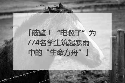 破壁！“电骡子”为774名学生筑起暴雨中的“生命方舟”