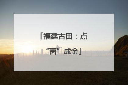 福建古田：点“菌”成金