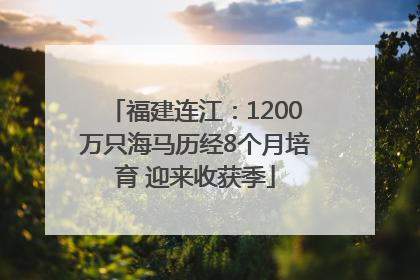 福建连江：1200万只海马历经8个月培育 迎来收获季