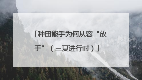 种田能手为何从容“放手”（三夏进行时）