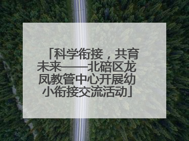 科学衔接，共育未来——北碚区龙凤教管中心开展幼小衔接交流活动