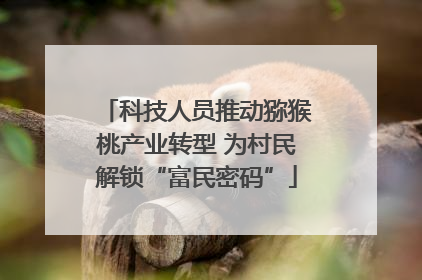 科技人员推动猕猴桃产业转型 为村民解锁“富民密码”