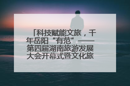科技赋能文旅，千年岳阳“有范”——第四届湖南旅游发展大会开幕式暨文化旅游推介会侧记