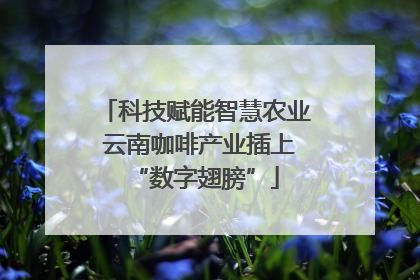 科技赋能智慧农业 云南咖啡产业插上“数字翅膀”