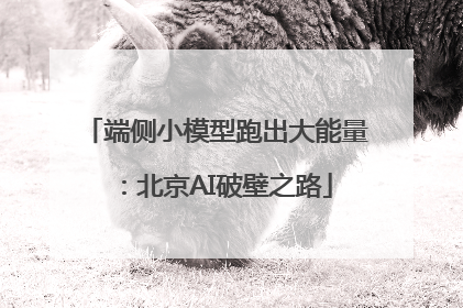 端侧小模型跑出大能量：北京AI破壁之路