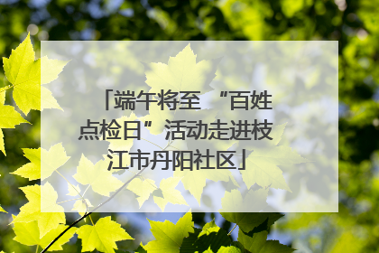 端午将至 “百姓点检日”活动走进枝江市丹阳社区