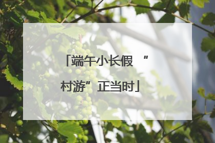 端午小长假 “村游”正当时