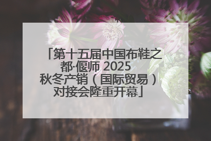第十五届中国布鞋之都·偃师 2025 秋冬产销（国际贸易）对接会隆重开幕