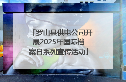 罗山县供电公司开展2025年国际档案日系列宣传活动