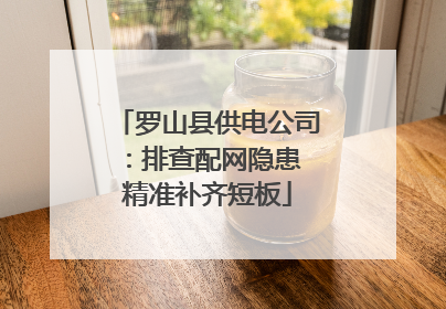 罗山县供电公司：排查配网隐患 精准补齐短板