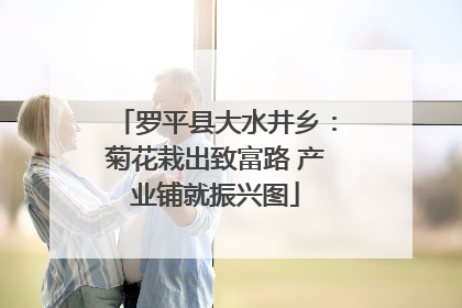 罗平县大水井乡：菊花栽出致富路 产业铺就振兴图