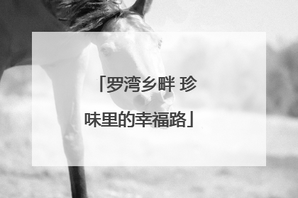 罗湾乡畔 珍味里的幸福路