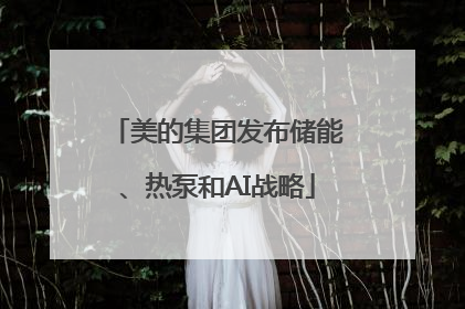 美的集团发布储能、热泵和AI战略