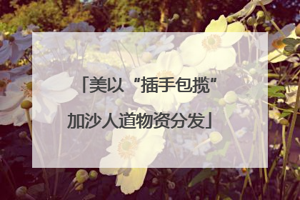 美以“插手包揽”加沙人道物资分发