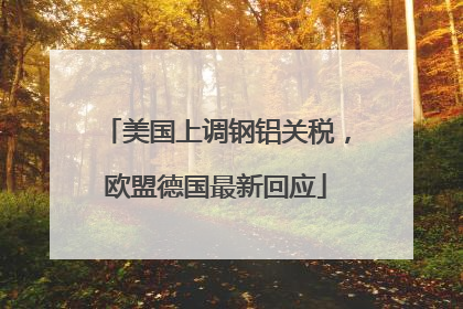 美国上调钢铝关税，欧盟德国最新回应