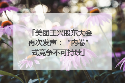 美团王兴股东大会再次发声：“内卷”式竞争不可持续