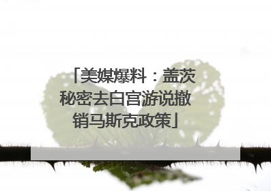 美媒爆料：盖茨秘密去白宫游说撤销马斯克政策