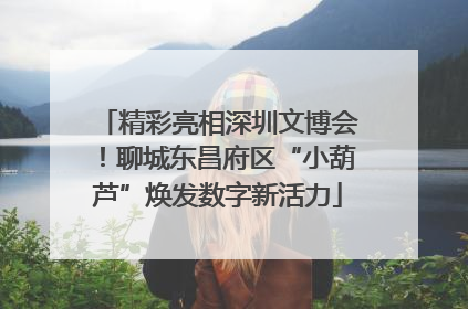 精彩亮相深圳文博会！聊城东昌府区“小葫芦”焕发数字新活力