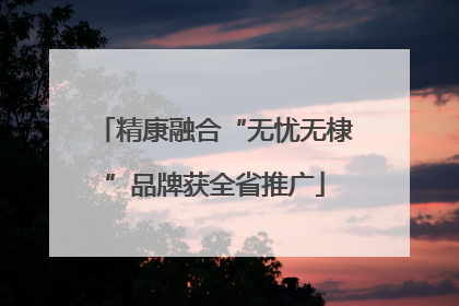精康融合“无忧无棣”品牌获全省推广