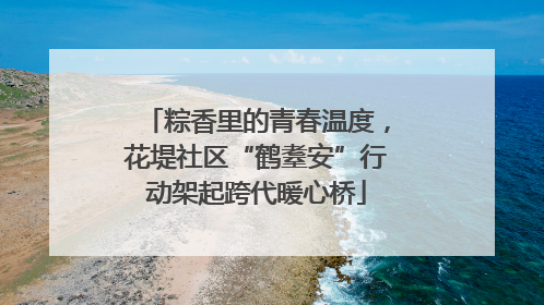 粽香里的青春温度，花堤社区“鹤耋安”行动架起跨代暖心桥