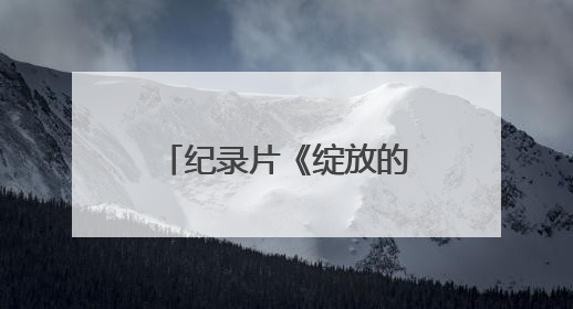 纪录片《绽放的花儿》：共绘融合发展时代画卷