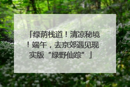 绿荫栈道！清凉秘境！端午，去京郊遇见现实版“绿野仙踪”