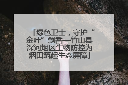 绿色卫士，守护“金叶”飘香—竹山县深河烟区生物防控为烟田筑起生态屏障