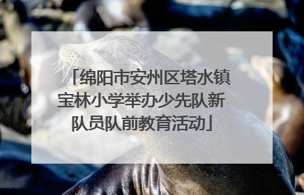 绵阳市安州区塔水镇宝林小学举办少先队新队员队前教育活动