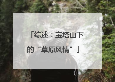 综述：宝塔山下的“草原风情”