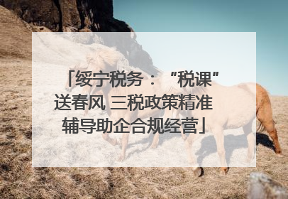 绥宁税务：“税课”送春风 三税政策精准辅导助企合规经营