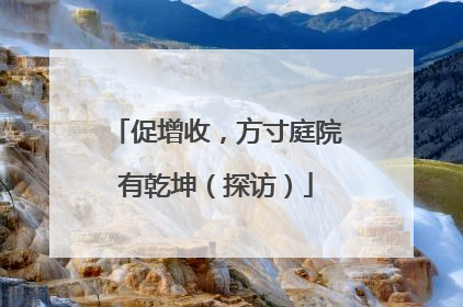 促增收，方寸庭院有乾坤（探访）