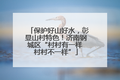 保护好山好水，彰显山村特色！济南钢城区“村村有一样 村村不一样”