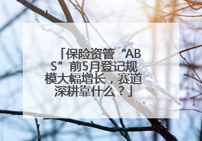 保险资管“ABS”前5月登记规模大幅增长，赛道深耕靠什么？