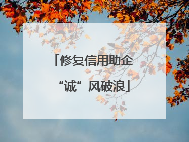 修复信用助企“诚”风破浪
