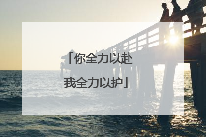 你全力以赴 我全力以护