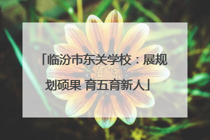 临汾市东关学校：展规划硕果 育五育新人