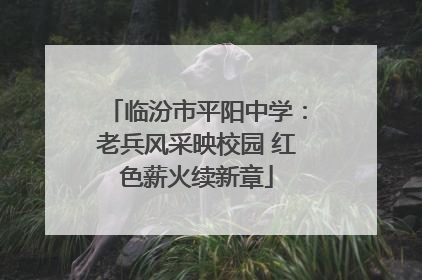 临汾市平阳中学：老兵风采映校园 红色薪火续新章