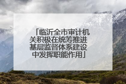 临沂全市审计机关积极在统筹推进基层监督体系建设中发挥职能作用