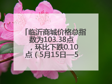 临沂商城价格总指数为103.38点，环比下跌0.10点（5月15日—5月21日）