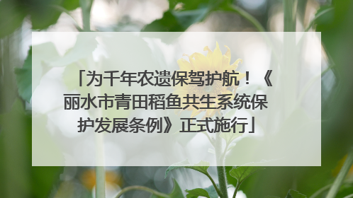 为千年农遗保驾护航！《丽水市青田稻鱼共生系统保护发展条例》正式施行