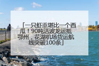 一只虾重堪比一个西瓜！90吨活波龙运抵鄂州，花湖机场货运航线突破100条