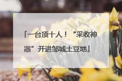 一台顶十人！“采收神器”开进邹城土豆地