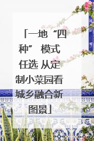 一地“四种” 模式任选 从定制小菜园看城乡融合新图景