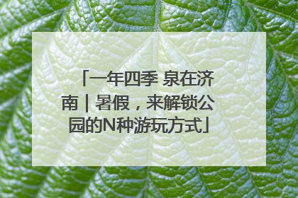 一年四季 泉在济南｜暑假，来解锁公园的N种游玩方式
