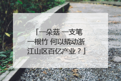 一朵菇 一支笔 一根竹 何以撬动浙江山区百亿产业？