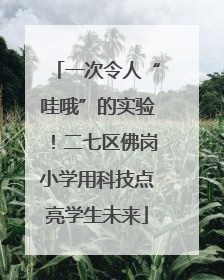 一次令人“哇哦”的实验！二七区佛岗小学用科技点亮学生未来
