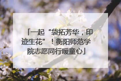 一起“袋拓芳华，印迹生花”！衡阳师范学院志愿同行暖童心